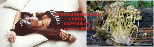герыч Арсеньев
