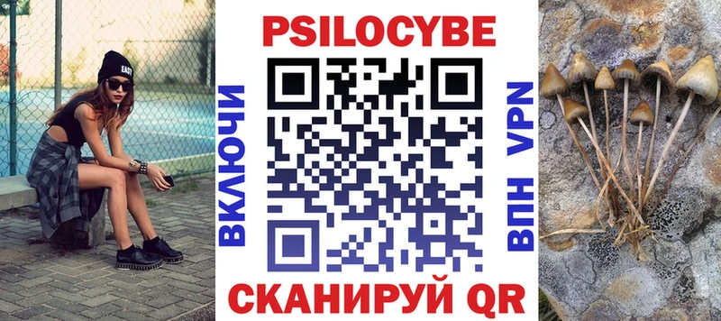 Купить где  Михайловск  Галлюциногенные грибы Magic Shrooms 